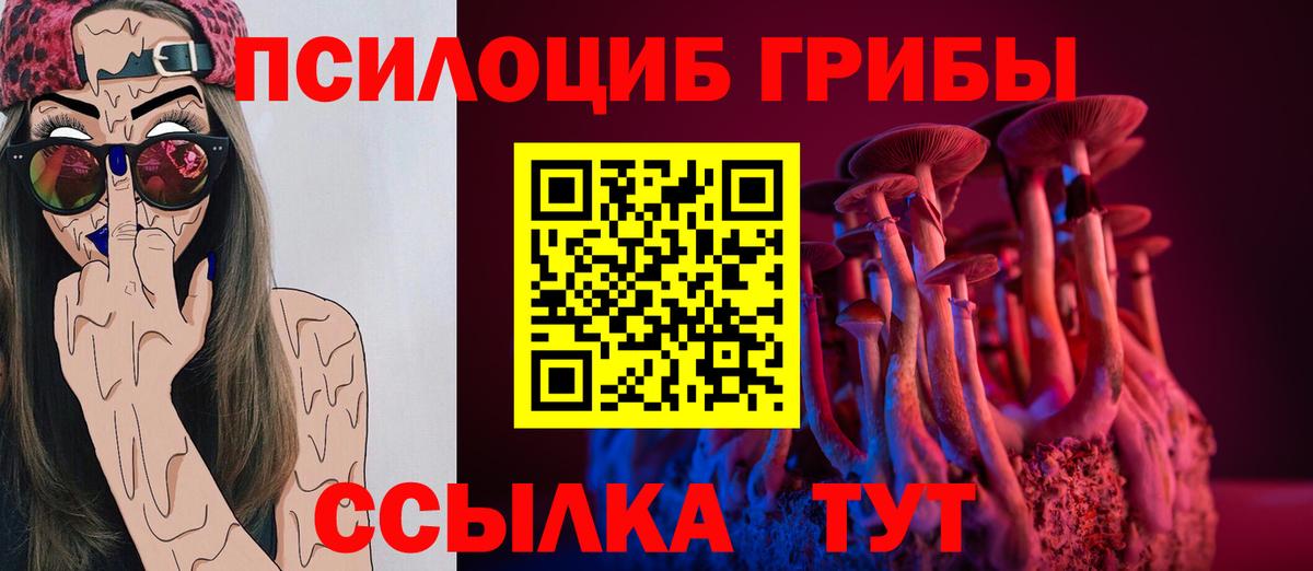 Псилоцибиновые грибы Cubensis Лесосибирск